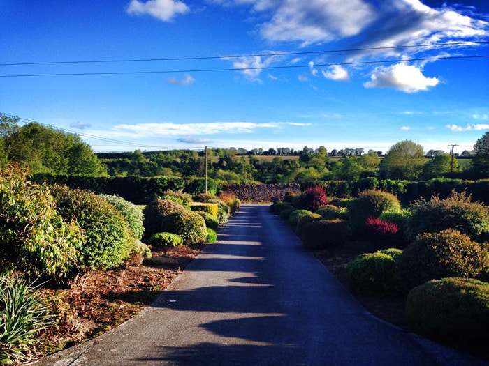 The view from my grandmother's house in Ireland.