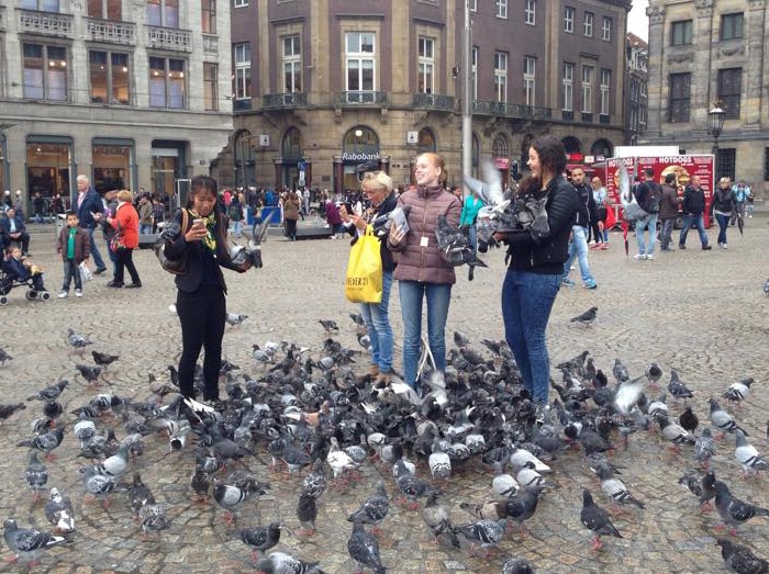 Attack of the pigeons in Dam Square.