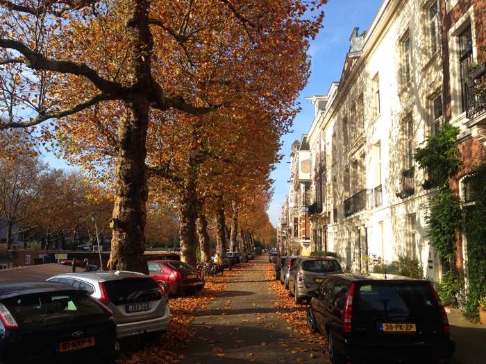 The last leaves of Autumn in Amsterdam.