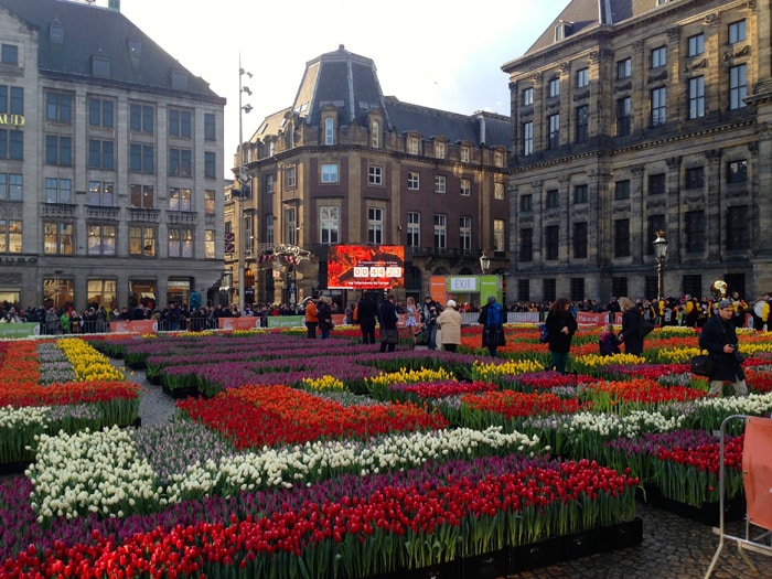 Tulip festival in Amsterdam.