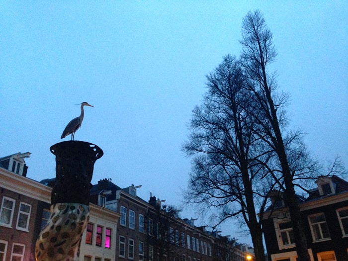 Early morning walk in De Pijp.