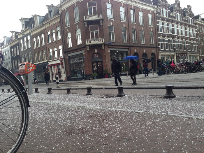The never-ending Winter :-(