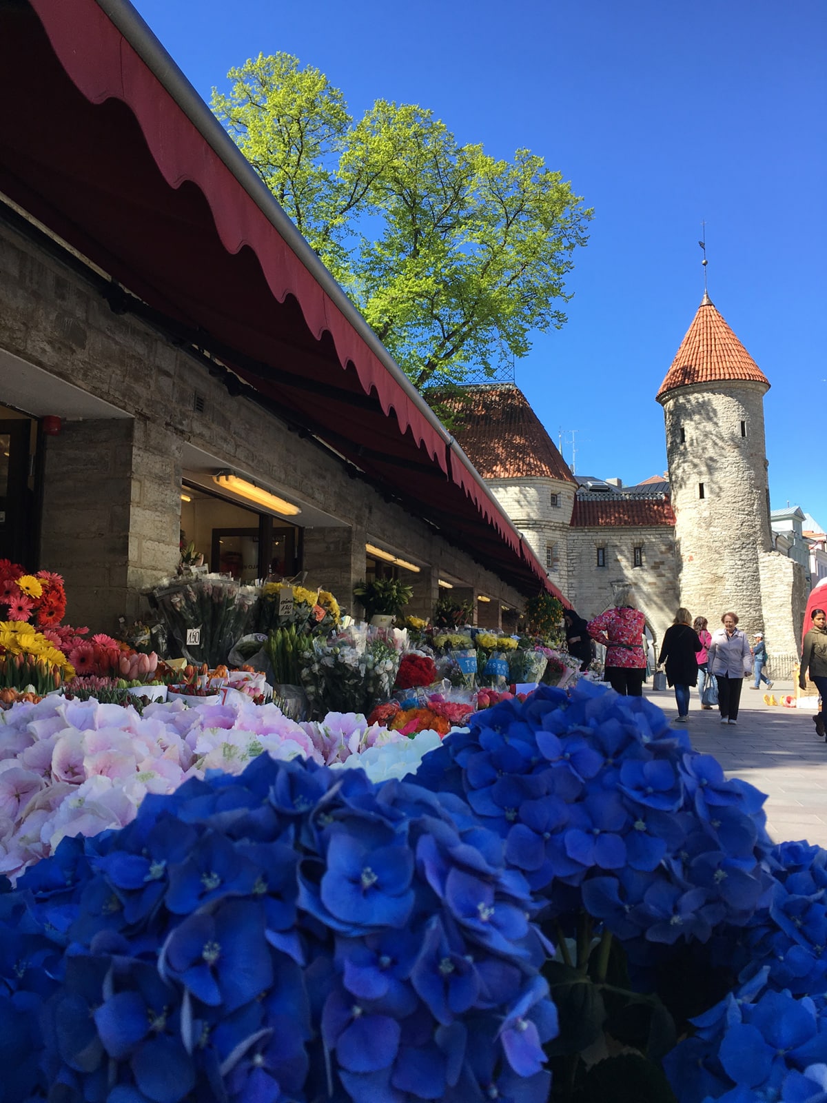 Flower market in Tallinn