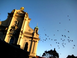 A flock of birds scattering above the pale stone facade of a Munich church